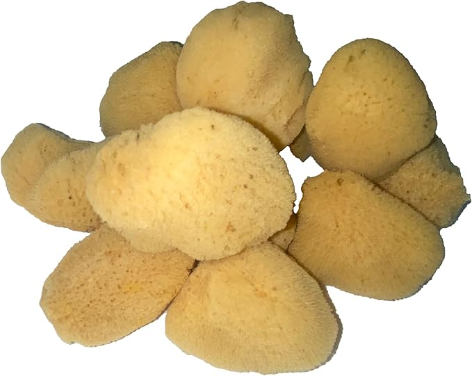 Soft Natural 6 Silk Sponges 1.5"-3" Cosmetic Makeup Application Removal Face Eye Nail Cleaning Like Cotton Balls Awesome Aquatic Creating The Perfect Home Bath & Shower Experience