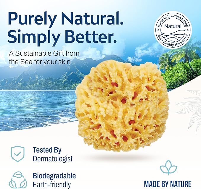 HartFelt Wool Sea Sponge Beauty Box for Delicate Skin | 2 Bath Sponges for Shower Women & Men 4 in | Natural Sponge with Mesh Bag for Cleaning & Drying | Chemical-Free Body Sponge Set - Gift Box