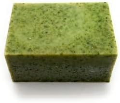Allnations Soap Co - Handmade Solid Dish Soap Bar - Free of Dyes and Fragrance - 5oz - Unscented - Vegan (Green Tea)