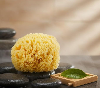 Natural Yellow Sea Wool Sponge 6 Inches. Perfect for Bath, Shower & Body Care. Super Soft & Not Skin Irritating. Baby Approved. Luxury Sponge in a Bag & Craft Box