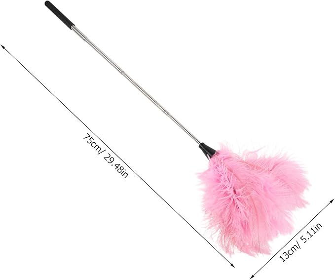 Hand Duster with Extendable Pole - Ostrich Plume Detail Brush Electrostatic Screen Cleaning Tool for Office Car Laptop Screen Keyboard TV (Pink)