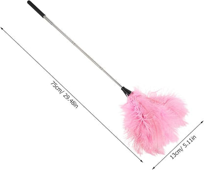 Hand Duster with Extendable Pole - Ostrich Plume Detail Brush Electrostatic Screen Cleaning Tool for Office Car Laptop Screen Keyboard TV (Pink)