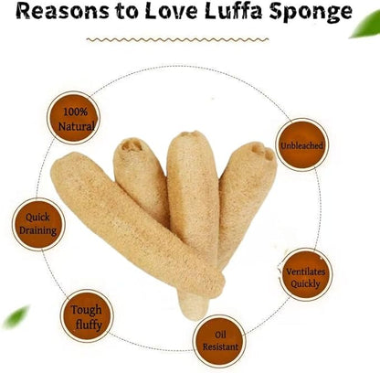 4PCK(12''-14'') Natural Organic Loofah Sponges - Large Exfoliating Shower Bath Luffa for SPA Beauty and Radiant Skin