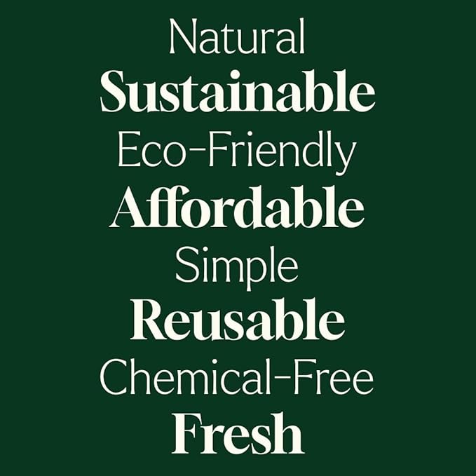 Plant Therapy Home Wool Dryer Balls 6-Pack 100% New Zealand Wool, Extra Large, Eco-Friendly, Reusable Natural Fabric Softener, All Natural & Chemical Free
