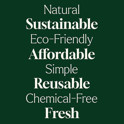 Plant Therapy Home Wool Dryer Balls 6-Pack 100% New Zealand Wool, Extra Large, Eco-Friendly, Reusable Natural Fabric Softener, All Natural & Chemical Free