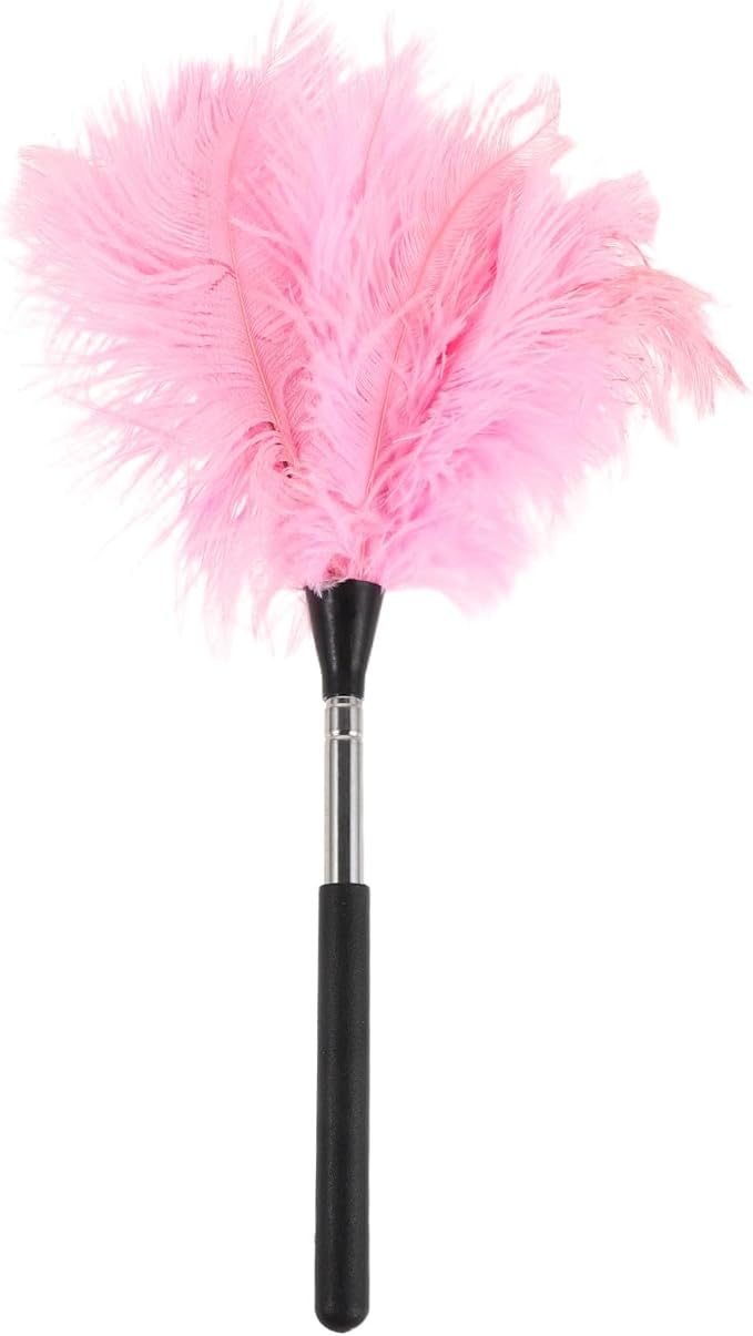 Hand Duster with Extendable Pole - Ostrich Plume Detail Brush Electrostatic Screen Cleaning Tool for Office Car Laptop Screen Keyboard TV (Pink)