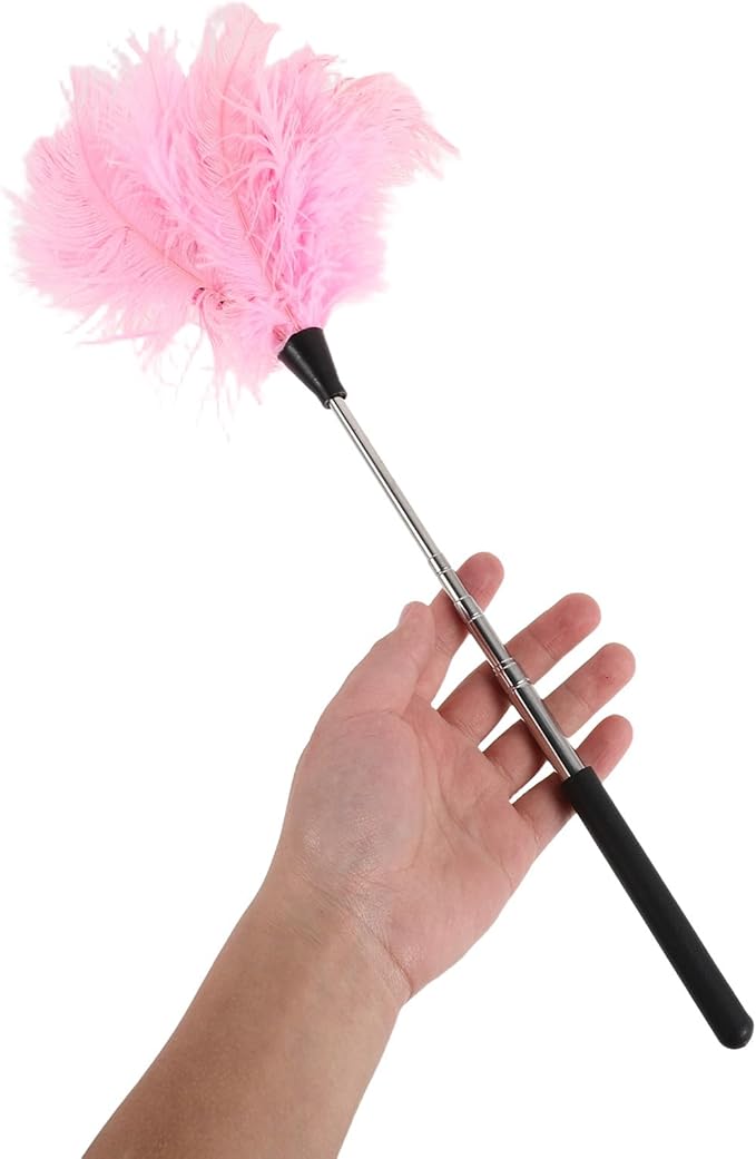 Hand Duster with Extendable Pole - Ostrich Plume Detail Brush Electrostatic Screen Cleaning Tool for Office Car Laptop Screen Keyboard TV (Pink)