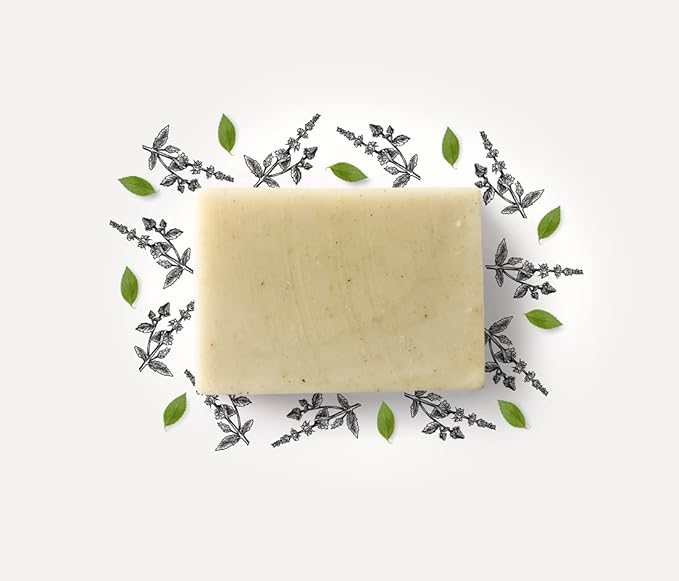 3-In-1 Mint Soap for Men, Handmade in France with Spearmint Oil, Peppermint Oil, Green Clay, Mint Leaves, 3.2 oz