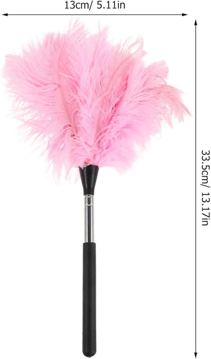 Hand Duster with Extendable Pole - Ostrich Plume Detail Brush Electrostatic Screen Cleaning Tool for Office Car Laptop Screen Keyboard TV (Pink)