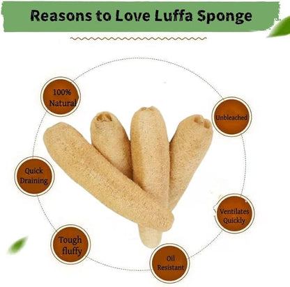 Luffa 4PCS 100% Natural Organic Loofah Sponges(14''-16'') Whole Loofah Deep Exfoliating Body & Back Scrubber Biodegradable Plastic-Free Shower Bath Loofah for Men&Women Adults SPA Daily Care