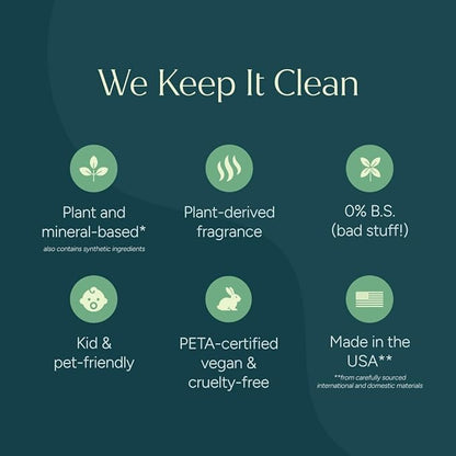 Puracy All Purpose Cleaner Spray – Plant-Powered Multi-Surface Cleaner - Surface Cleaner Solution As Seen on TikTok (Green Tea & Lime, 16 fl oz, 3 Pack)