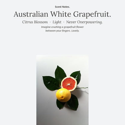 Murchison-Hume All Purpose Cleaner Spray | Plant Based Multi-Surface | Non-Toxic | Food & Pet Safe | Stone & Marble Safe | Degreaser | Kitchen & Bath | Refill Available | Australian White Grapefruit