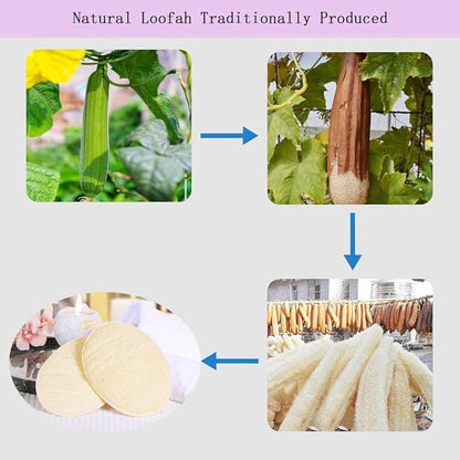Natural Loofah Exfoliating Body Scrubber,Bath Shower Loofah Sponge for Women and Men,Made with Biodegradable Shower luffa Sponge,for Face and Body that Gets You Clean(3 PC)