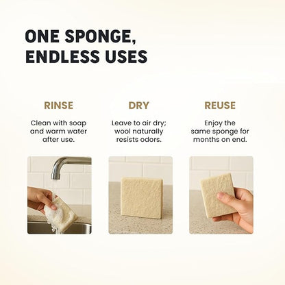 Scalise Family Sheep Farm Wool Dish Sponge 5"x5" – Natural Sponge Dish Non Scratch | Organic Kitchen Sponges for Sink Cleaning | Long Lasting Wool Scrubber for Kitchen