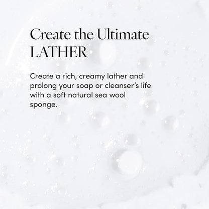 LATHER - Natural Sea Wool Sponge, 5-6" - Organic Exfoliating Body Scrubber - Soft, Gentle Cleansing - Hypoallergenic - All Skin Types - Florida Natural Loofah Sponge - Cruelty Free - Beauty & Skincare