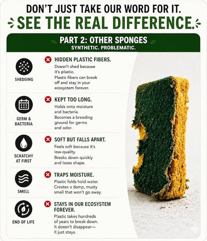 Eco Kitchen Sponges - Plant Based Cellulose & Natural Loofah Scrub Sponge - Biodegradable Dish Sponge - 6 Pack - by Janté Co.