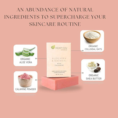 Aloe Vera & Oatmeal Soap Bar with Calamine, Natural & Organic Ingredients - Organic Aloe Vera & Colloidal Oats. Face & Body - for Men, Women & Teens. Gentle Body Wash. 4.5 oz Bar (Pack of 6)