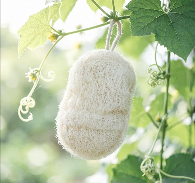 4-Pack Premium Egyptian Loofah Dish Sponge - Large 4.7" x 3.1" Natural Kitchen Scrubber - Thick Double-Layered Compostable Sponges for Dishes - Non-Scratch, Ultra Soft & Biodegradable