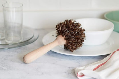 Fox Run Kitchen Brush Set of 3, Pot, Dish, and Bottle Scrub Brush with Natural Bristles