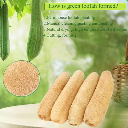 Natural Loofah Sponges 3-Pack, Extra Dense Long-Lasting for Dishes Body, 100% Plant Fiber Exfoliating Scrubber, Eco-Friendly Kitchen Sponge, Biodegradable, Gentle on Skin, Cookware