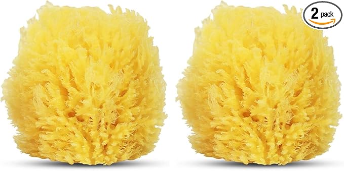 HartFelt Exfoliating Grass Sea Sponge 4in | Natural Exfoliating Body Scrubber Sponge for Shower for Women and Men (Pack of 2)
