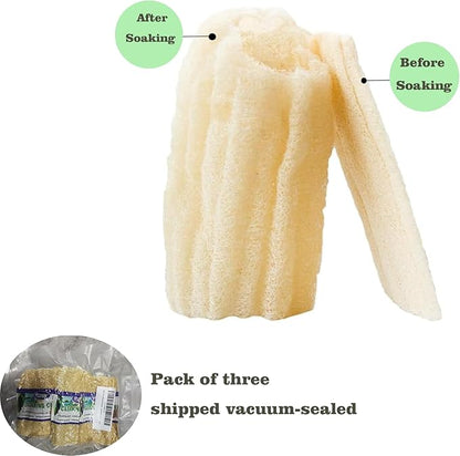 3-Pack Natural Dish Sponge Natural Loofah Sponges – Handheld Kitchen Dish Scrubber for Grease Removal, Plastic-Free Cleaning Tool