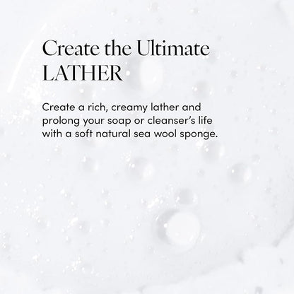 LATHER - Natural Sea Wool Sponge, 4-5" - Organic Exfoliating Body Scrubber - Soft, Gentle Cleansing - Hypoallergenic - All Skin Types - Florida Natural Loofah Sponge - Cruelty Free - Beauty & Skincare
