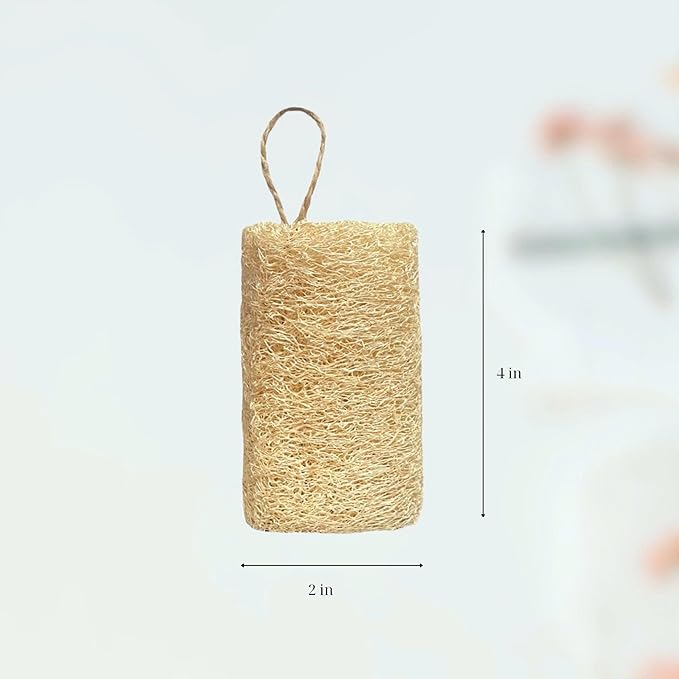 Natural Loofah for Shower & Kitchen – 4 Pack Exfoliating Body Scrubbers & Eco Dish Sponges – Loofah for Men & Women, Cylindrical & Round Shapes.