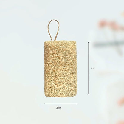 Natural Loofah for Shower & Kitchen – 4 Pack Exfoliating Body Scrubbers & Eco Dish Sponges – Loofah for Men & Women, Cylindrical & Round Shapes.