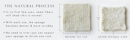 Wool Sponges 2-Pack - Environmentally Friendly, Long-Lasting & Compostable - Perfect for Dishes, Face, Body & Surfaces
