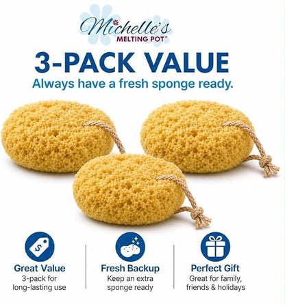 Michelle's Melting Pot Exfoliating Foam Sea Sponge, Natural Feel, Shower Loofah, Bath Sponge, Rich Lather (Set of 3)