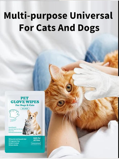 6 Pcs Individually Wrapped Dog Glove Wipes for Paws, Butt, Ears & Eyes | Extra Large Thick Rinse-Free Pet Wipes for Dogs & Cats | Hypoallergenic Fragrance-Free for Travel & Camping