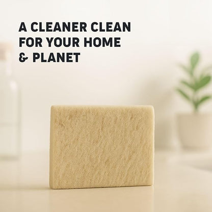 Scalise Family Sheep Farm Wool Dish Sponge 5"x5" – Natural Sponge Dish Non Scratch | Organic Kitchen Sponges for Sink Cleaning | Long Lasting Wool Scrubber for Kitchen