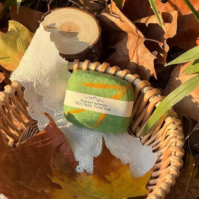 Handmade Felted Soap with Tibetan Yak Milk & Wool Natural Exfoliating Bar for Face & Body, 6 Scents, Includes Bamboo Dish & Travel Pouch (Cinnamon)