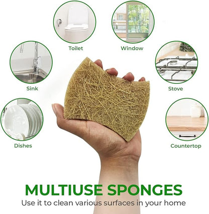 AIRNEX Natural Kitchen Sponges (12 Pack) - Biodegradable Cellulose & Coconut Scrubber Dish Sponge for Kitchen - Eco-Friendly, Non Scratch, Compostable, Non Toxic Natural Sponges for Dishes