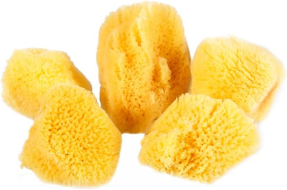 Natural Yellow Sea Silk Sponges 1,5 Inches Pack of 5 in an Organza Bag. Great for Cosmetic Use: Makeup Removal, Facial Cleansing & Cleaning. Softly Rough but Not Skin Irritating