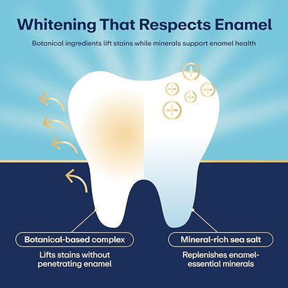 Lumineux 2-in-1 Whitening Pen (2 Pack) Enamel Safe and Clinically Proven to Whiten Without The Sensitivity - Removes Coffee, Tea, and Smoking Stains