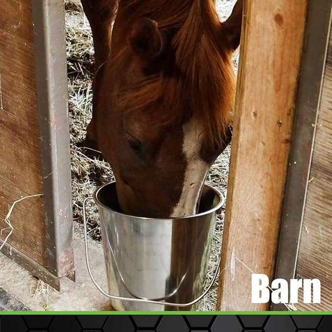 Grip Stainless Steel Bucket (1 Gallon) - Great for Pets, Cleaning, Food Prep - Hang on Fences, Cages, Kennels - Home, Garage, Workshop