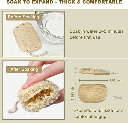Natural Loofah Sponge with Handle, 5-Piece Replaceable Eco Sponges for Cleaning, Non-Scratch Scrubber for Dishwashing Cookware Pans, Kitchen Eco-Friendly Tools (5)