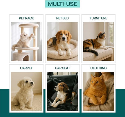 Carpet Rake for Pet Hair Removal, 3-Pack Reusable Dog & Cat Hair Remover Tool Set, Adjustable 56in Long Handle Carpet Rake + Mini Lint Brushes for Rugs, Couches, Floor Mats, Stairs, Car Seats