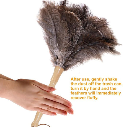Ostrich Feather Duster, Natural Fluffy Reusable Real Eco-Friendly Genuine Soft Handheld Feather Dusters for Cleaning Supplies, Blinds, Office, Car(15 inch)