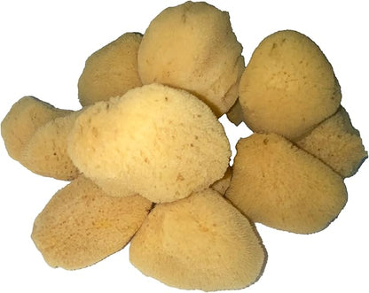 Soft Natural 6 Silk Sponges 1.5"-3" Cosmetic Makeup Application Removal Face Eye Nail Cleaning Like Cotton Balls Awesome Aquatic Creating The Perfect Home Bath & Shower Experience