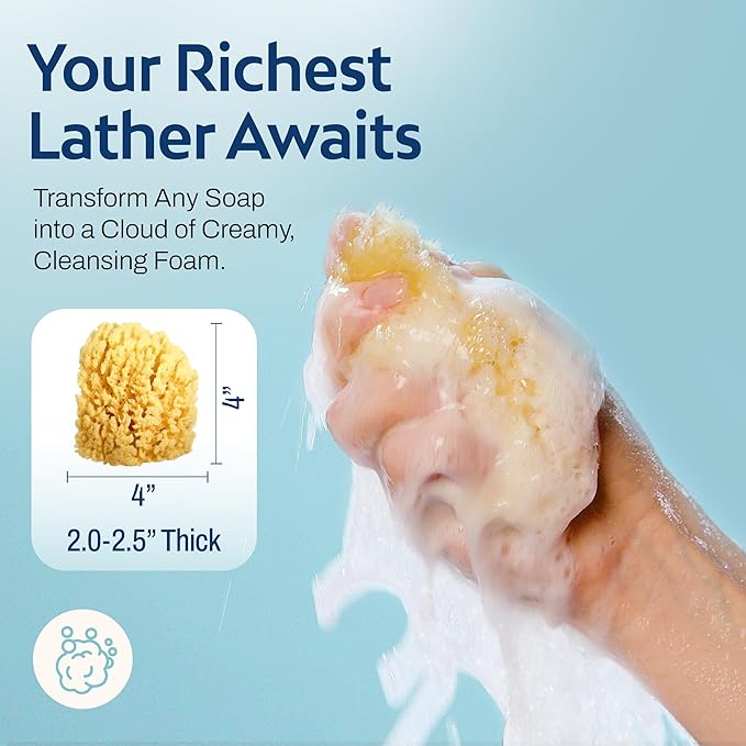 HartFelt Gentle Exfoliation Yellow Sea Sponge 4in | Natural Shower Sponges for Bathing for Men and Women | Rich Lather