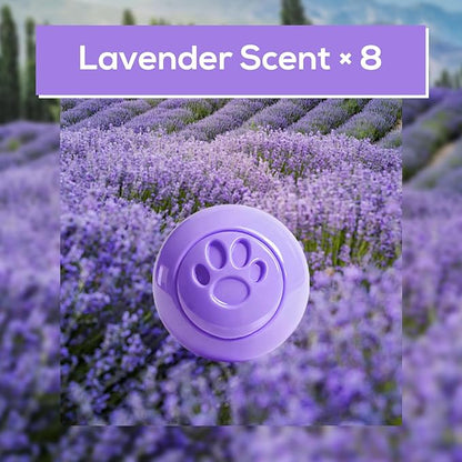 SCENTORINI Shoe Deodorizer Balls, 8 Pack Lavender Scent Sneaker Deodorizer Balls, Odor Eliminator for Smell Shoes Boots, Long Lasting Shoe Freshener for Gym Bags, Drawers and Small Spaces