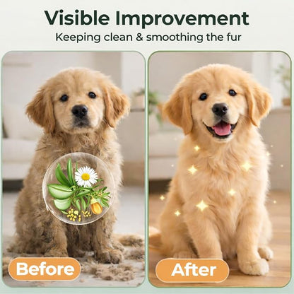 Aurora Pet Glove Wipes for Dogs & Cats, Wearable No-Rinse Grooming Glove Wipes for Paws, Face, Ears & Body, Hypoallergenic Disposable Pet Cleaning Wipes, Unscented, 12 Count