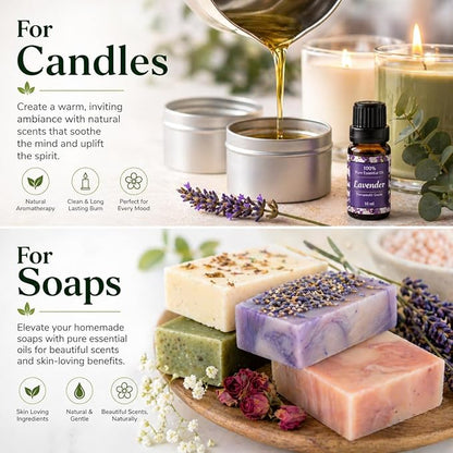 Essential Oils for Laundry, Dryer Balls & Diffusers | 60ml | 6 Pack of the Most Sought-After Scents for Aromatherapy, Lavender, Tea Tree, Eucalyptus, Bergamot, Lemon & Chamomile