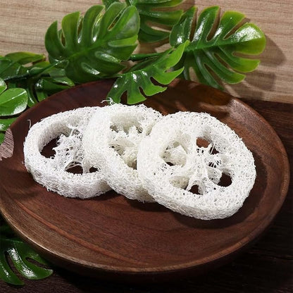 10pcs Natural Loofah Luffa Loofa Slices Handmade Reusable Natural Loofah Cuts for Cleaner Sponge Scrubber, Sponge Soap Dishes for Bar Soap Facial Soap Holder, 1.96in-2.75in