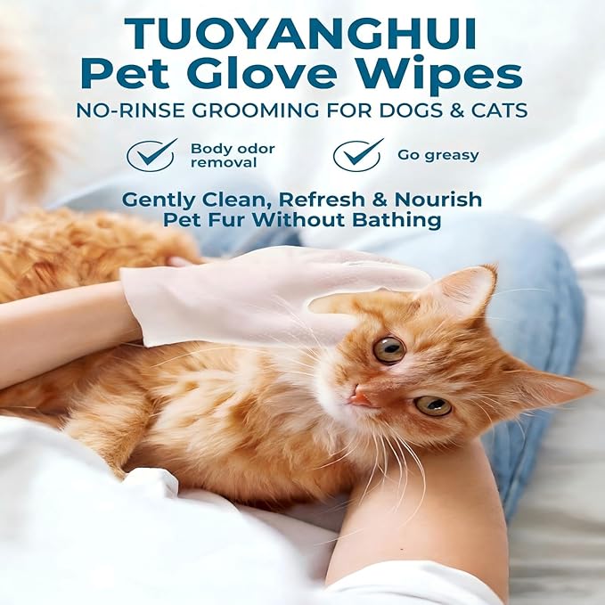 Pet Glove Wipes, No Rinse Deodorizing Mittens for Sphynx, Devon Rex, Cats & Dogs, Thickened Hypoallergenic with Aloe Vera, Unscented Full Body Grooming, Daily Care & Travel, 6 Count