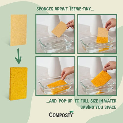 Pop-Up Compostable Sponges 12-Pack – Eco-Friendly Biodegradable Cellulose Kitchen Sponges (Plastic-Free, Non-Scratch, Compressed & Expanding) for Dishes, Kitchen & Bathroom by Award Winning Composty