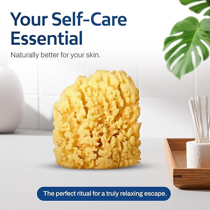 HartFelt Yellow Sea Sponge Beauty Box for Gentle Exfoliation | 2 Bath Sponges for Shower Women & Men 4 in | Body Sponge with Mesh Bag for Cleaning & Drying | Reusable Natural Sponge - Gift Box
